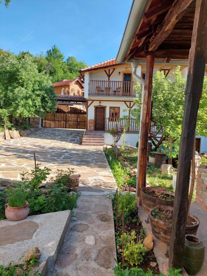 Golemi Kamik Pirot Vlasi Exterior photo